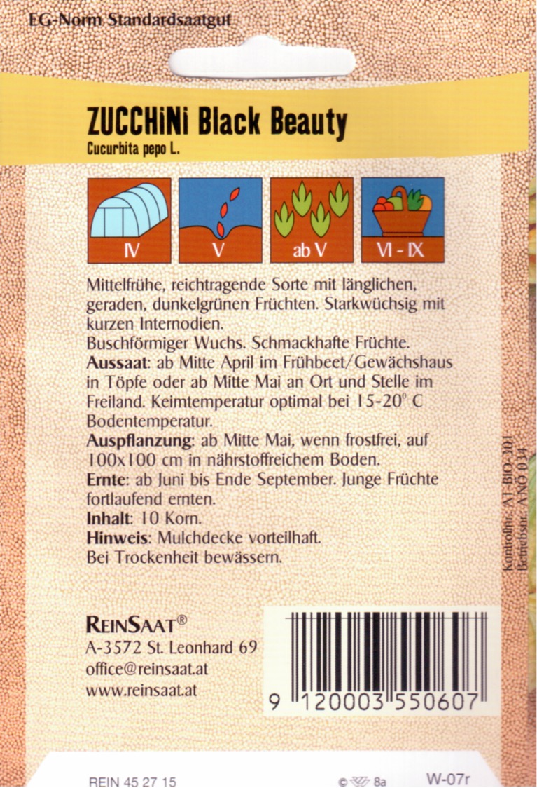 Saatgut Zucchini Black Beauty -R-