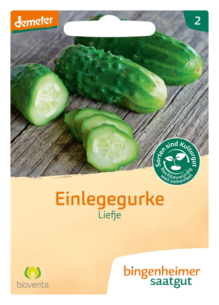 Saatgut Einlegegurke Liefje -B-