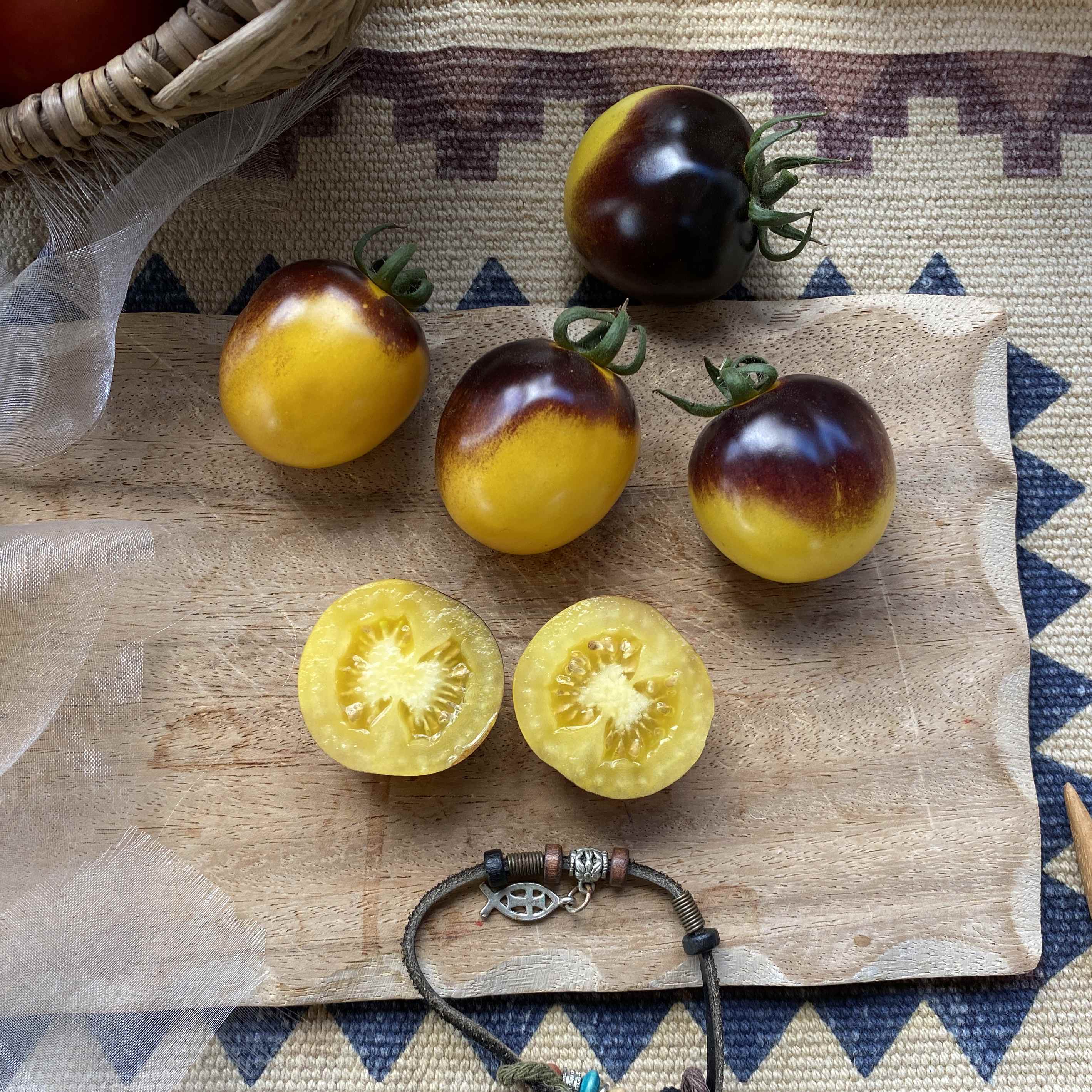 Tomatensaatgut Bosque Blue Bumblebee