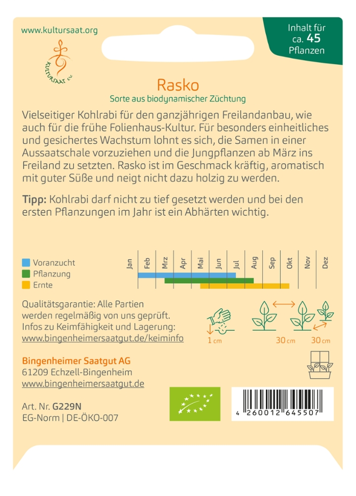 Saatgut Kohlrabi Rasko -B-