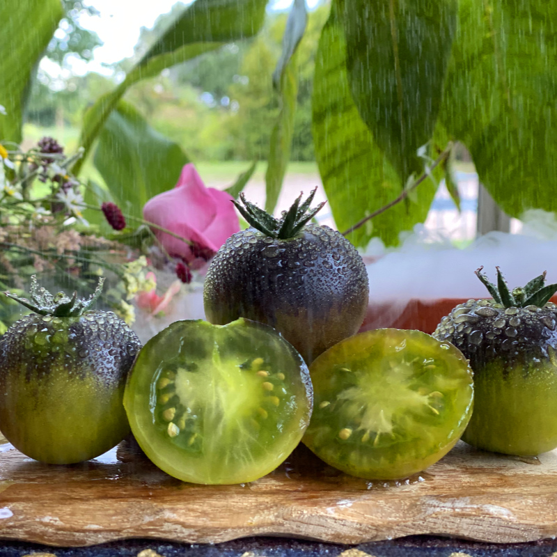 Grün und Blaue leckere Tomatenfrucht