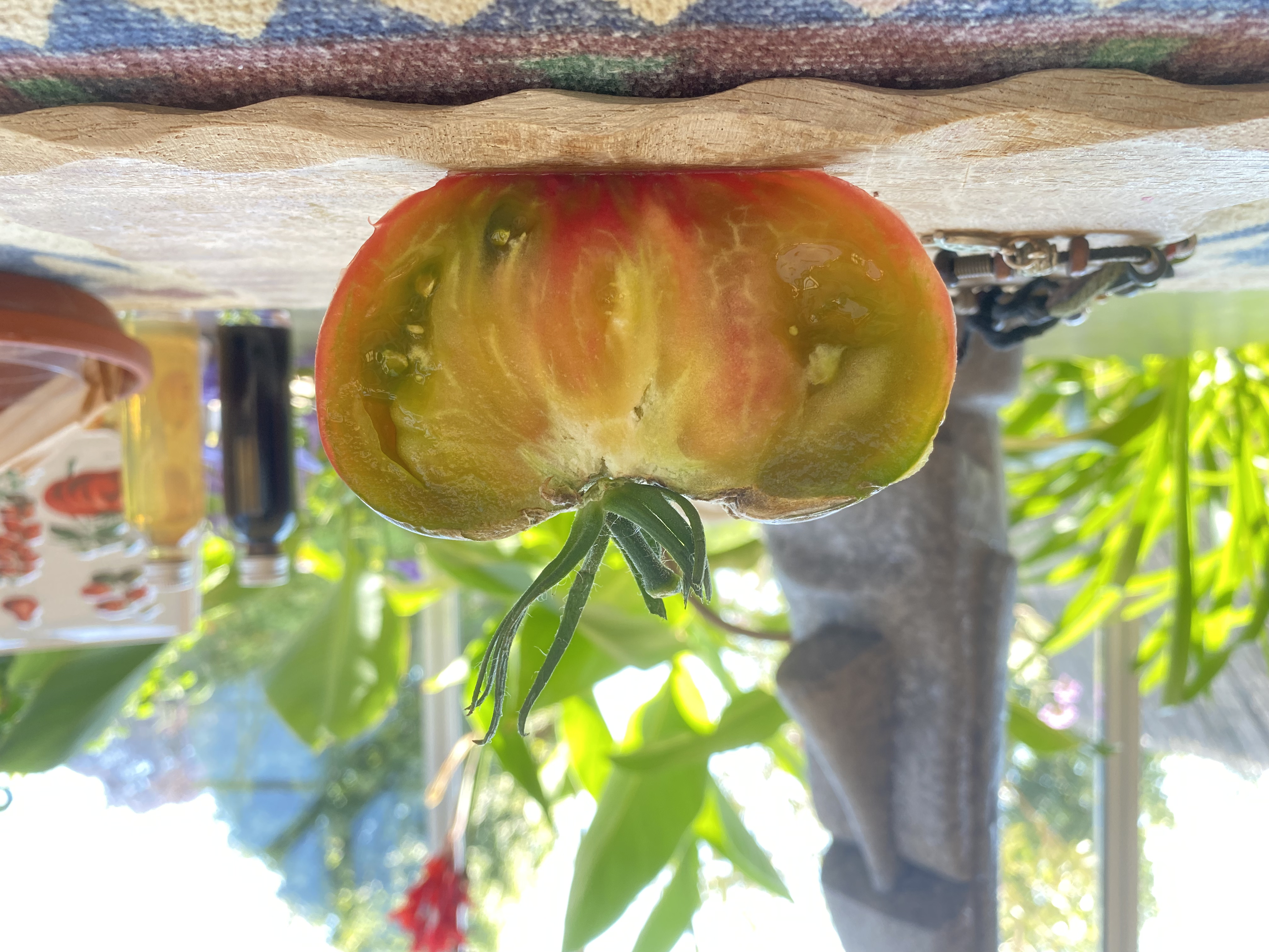 Eine grün/rote Tomatenfrucht mit band  