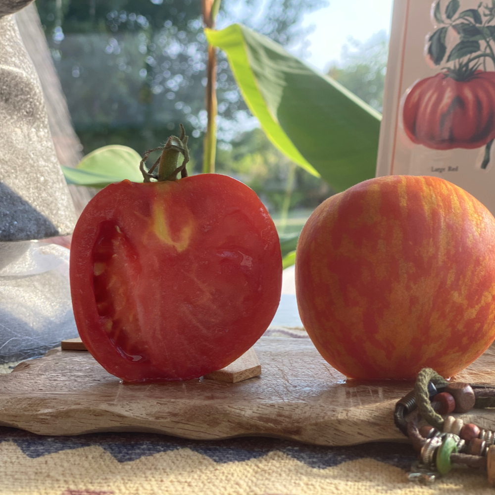 Orange gestreifte Demeter Tomate