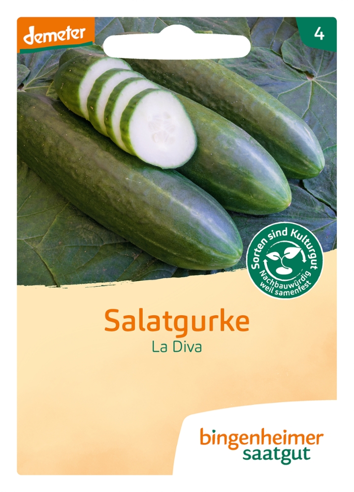 Saatgut Salatgurke La Diva -B-