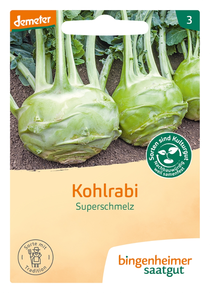 Saatgut Kohlrabi Superschmelz -B-