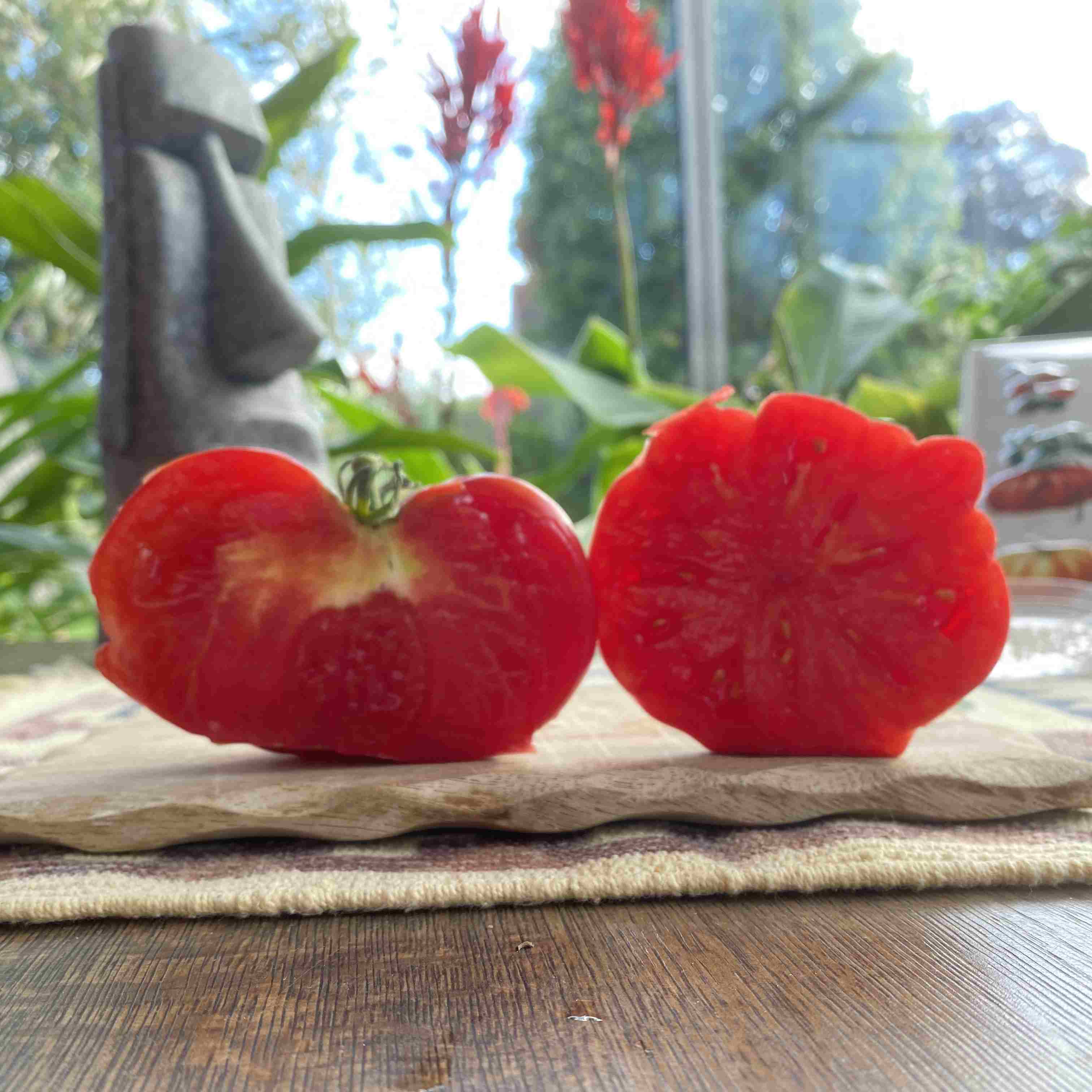 Tomatensaatgut Gribnoy Lukoshko