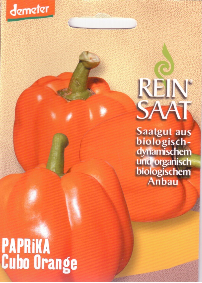 Saatgut Paprika Cubo Orange -R-