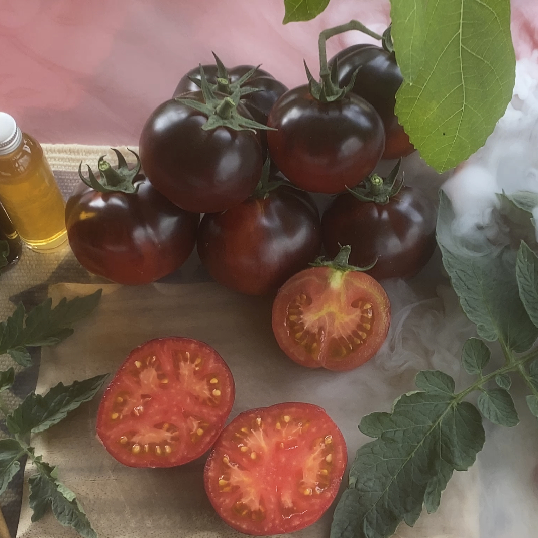 Tomatensaatgut Märchennacht