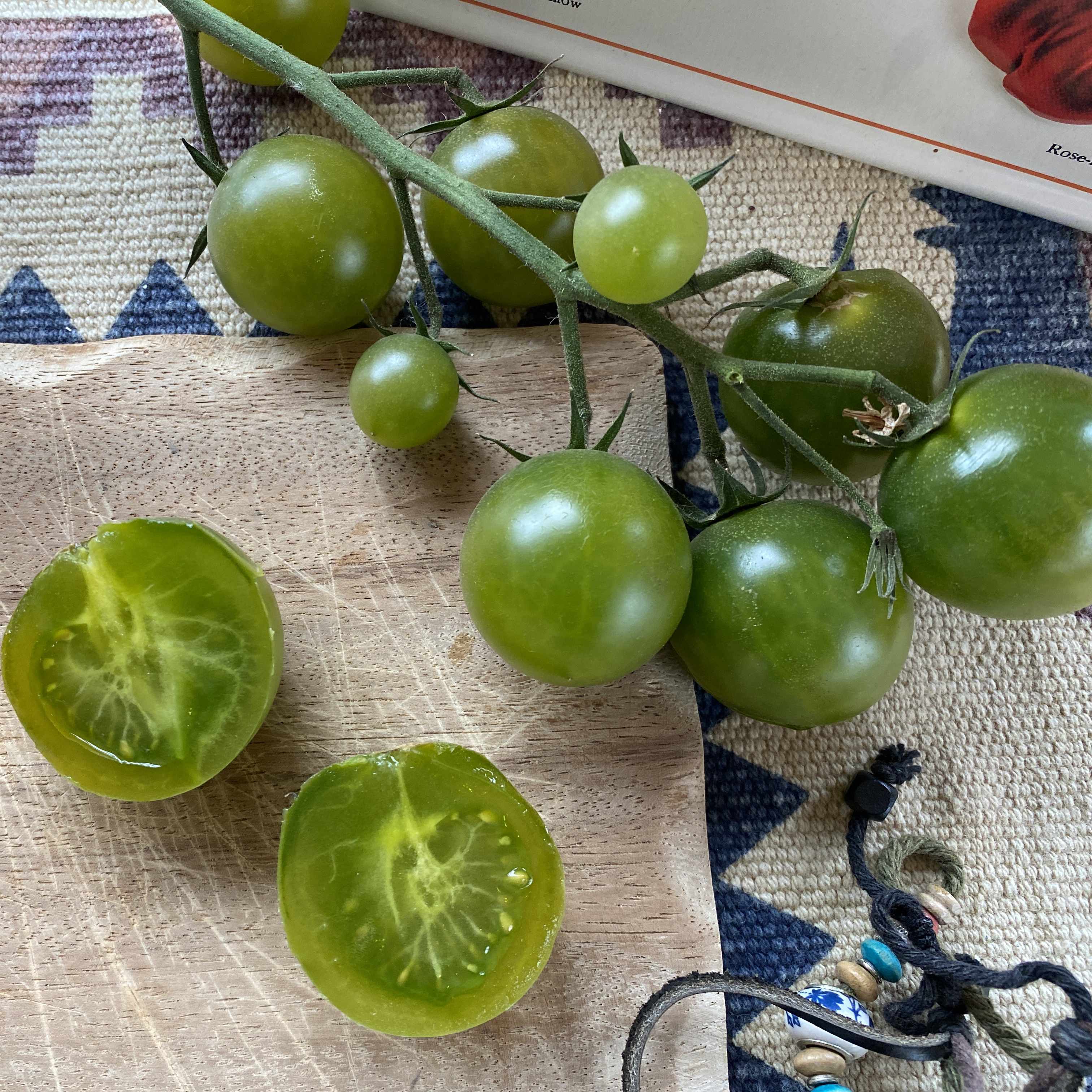 Tomatensaatgut Lana Tropical