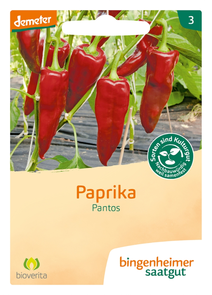 Saatgut Paprika Pantos -B-