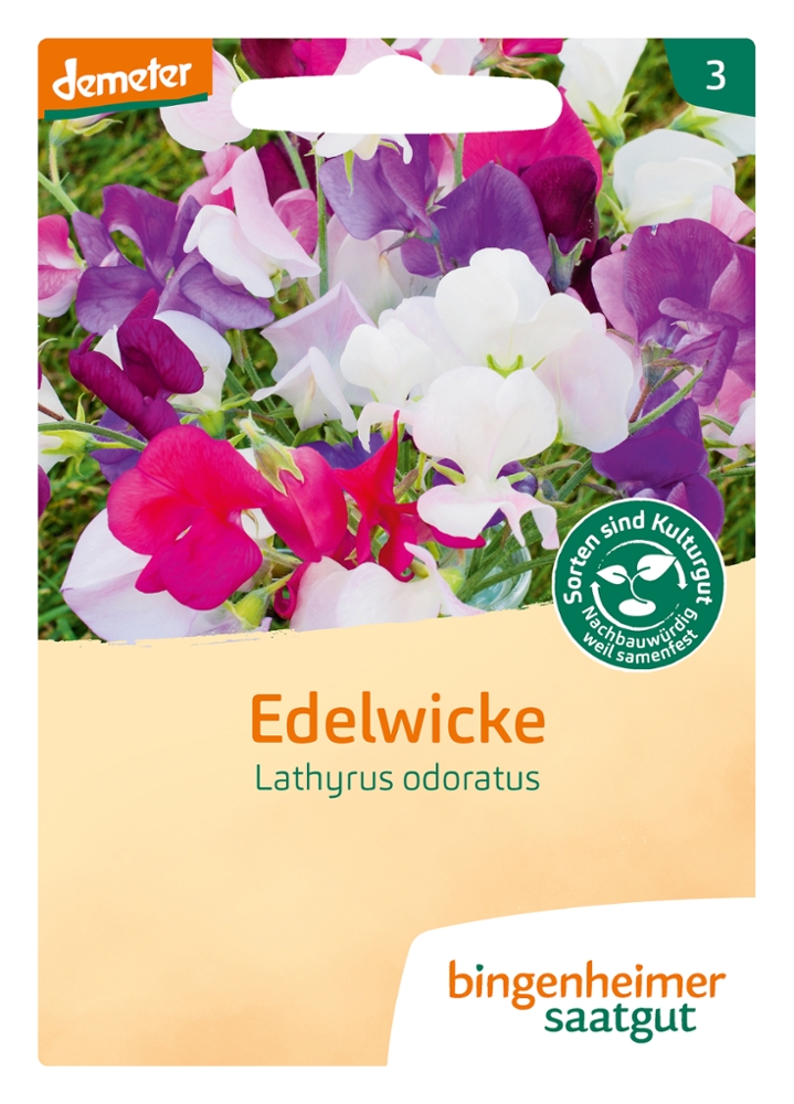 Saatgut Edelwicke -B-