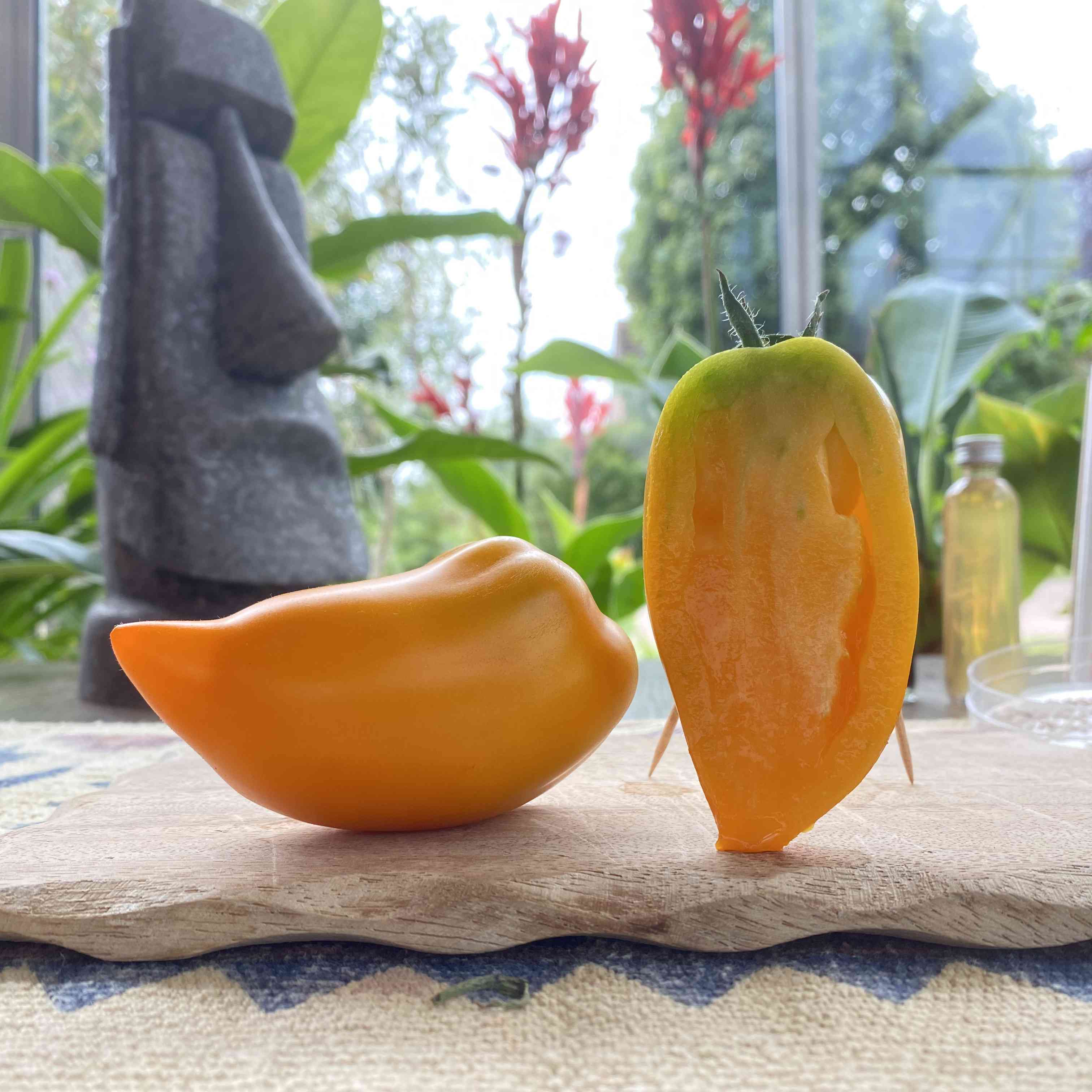 Tomatensaatgut Gelbe Paprikatomate