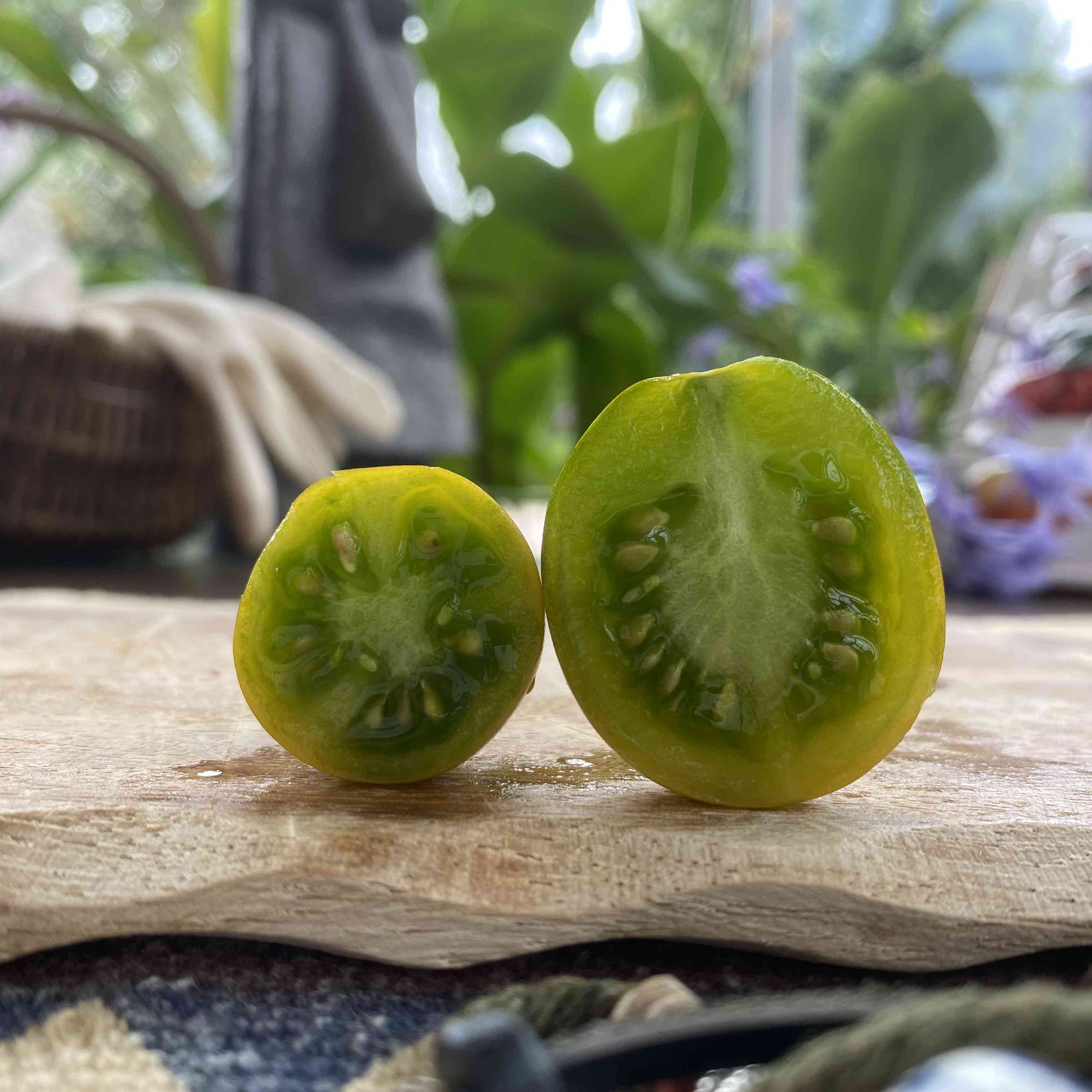 Tomatensaatgut Cherokee Green Pear