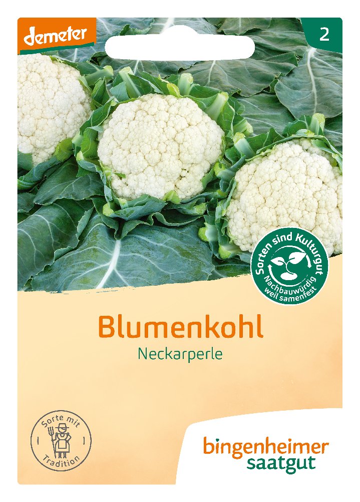 Saatgut Blumenkohl Neckarperle -B-