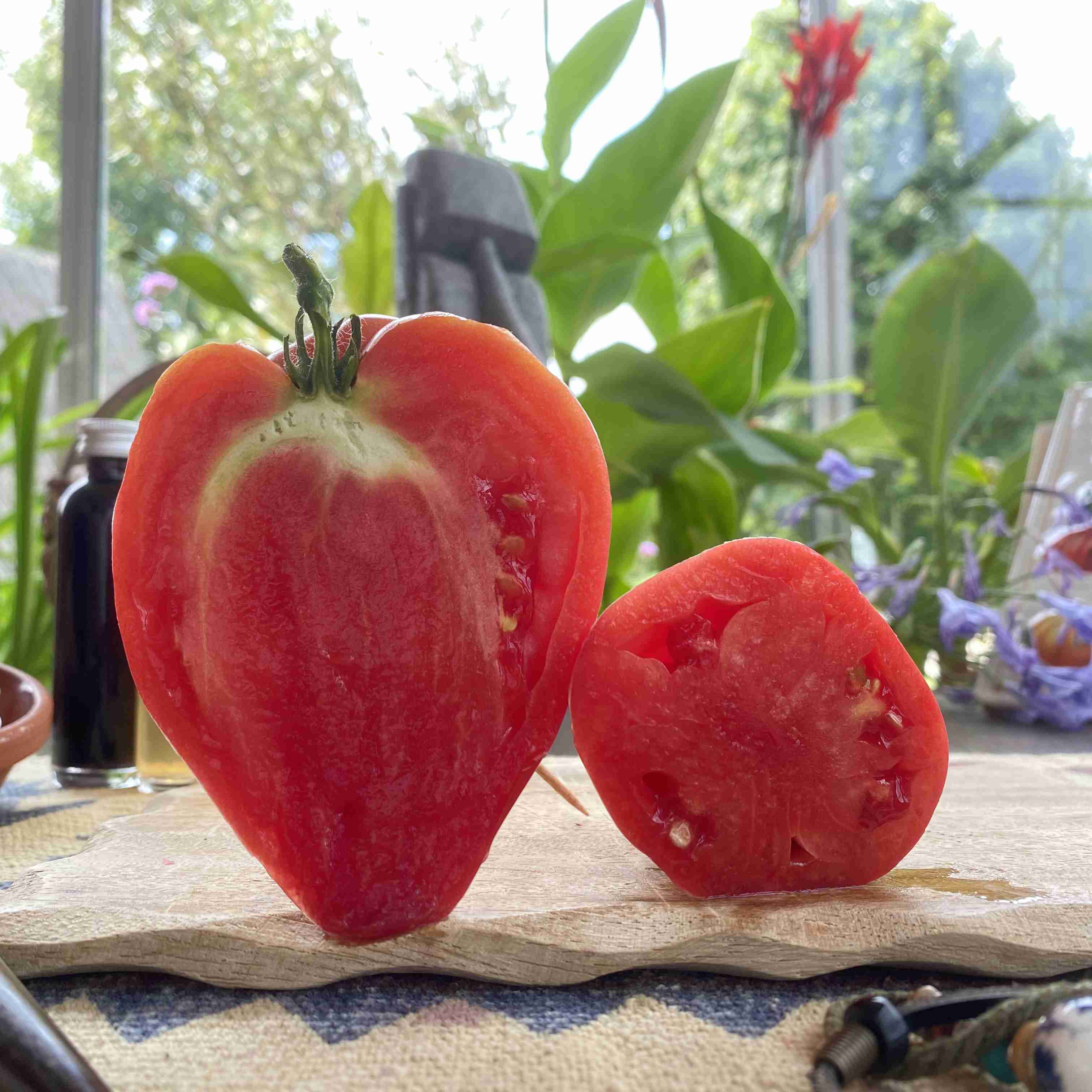 Tomatensaatgut Cœur de Bœuf Akers