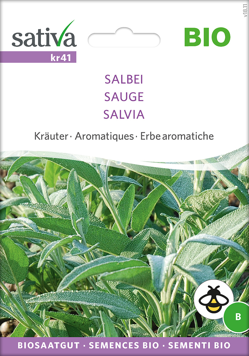 Saatgut Salbei -S-