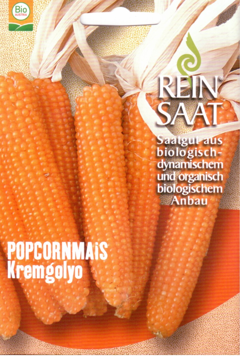 Saatgut Popkornmais -R-