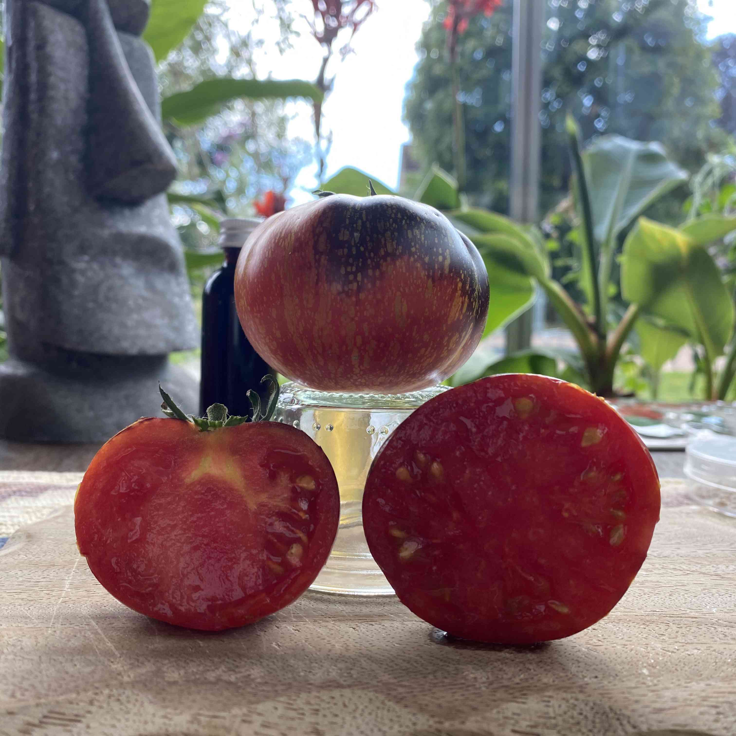 Tomatensaatgut Blue Fire 