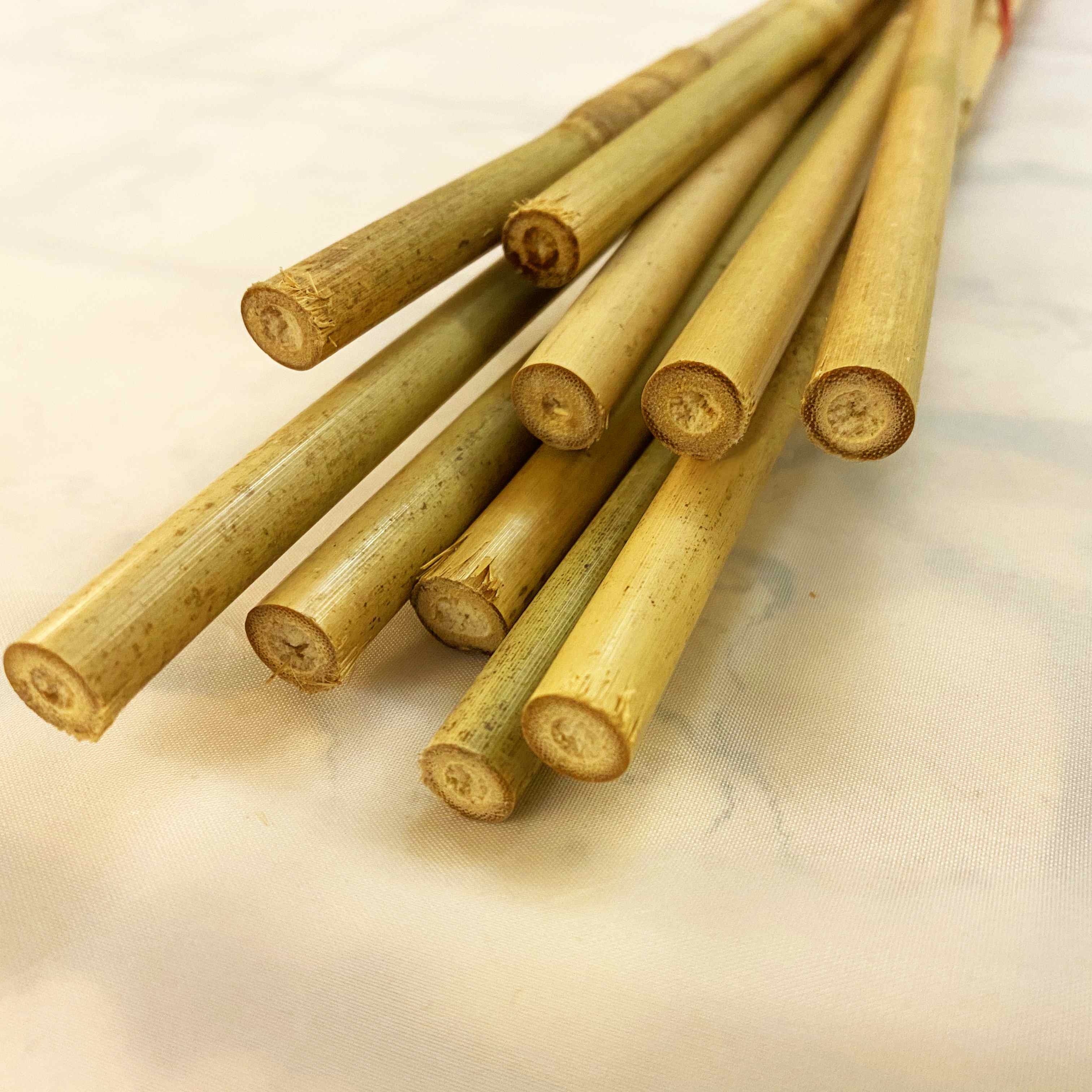 10 x Bambus- oder Tonkinstäbe 1m 