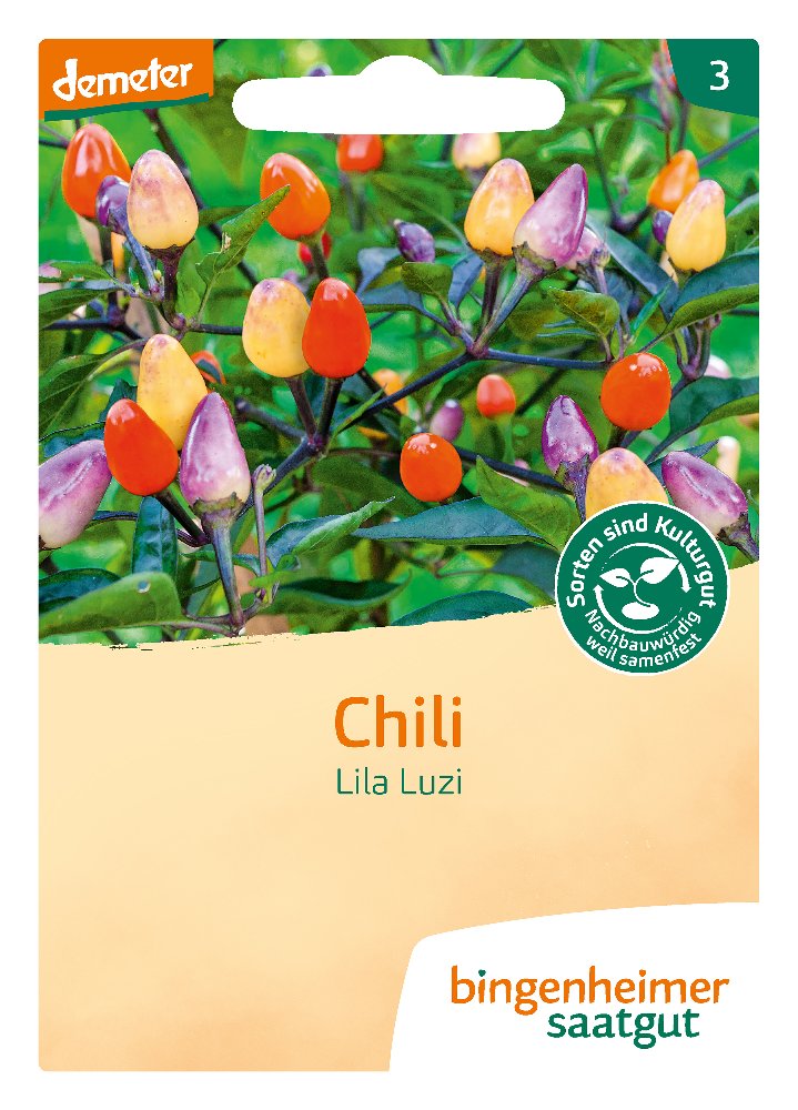 Saatgut Chili Lila Luzi -B-