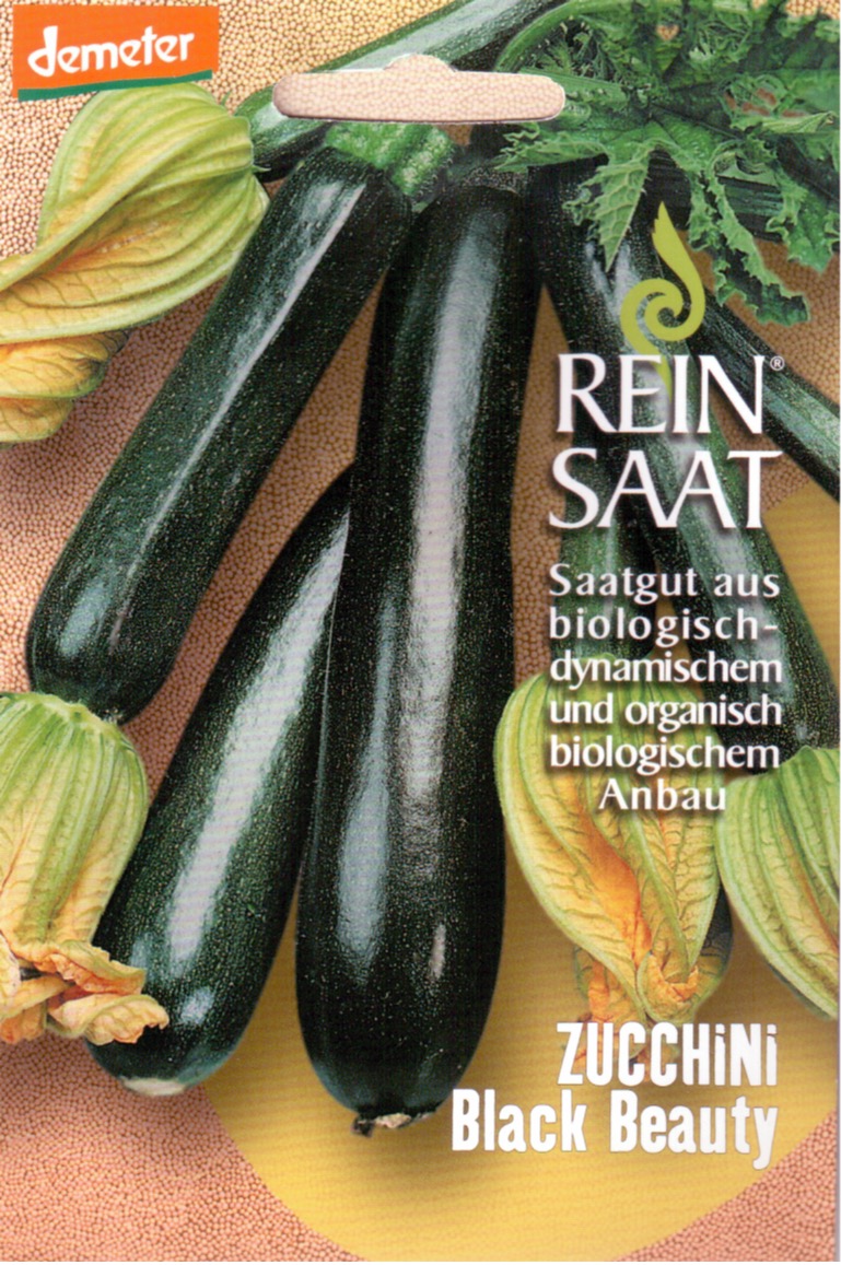 Saatgut Zucchini Black Beauty -R-