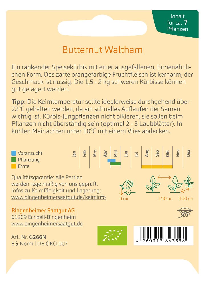 Saatgut Kürbis Butternut Waltham -B-