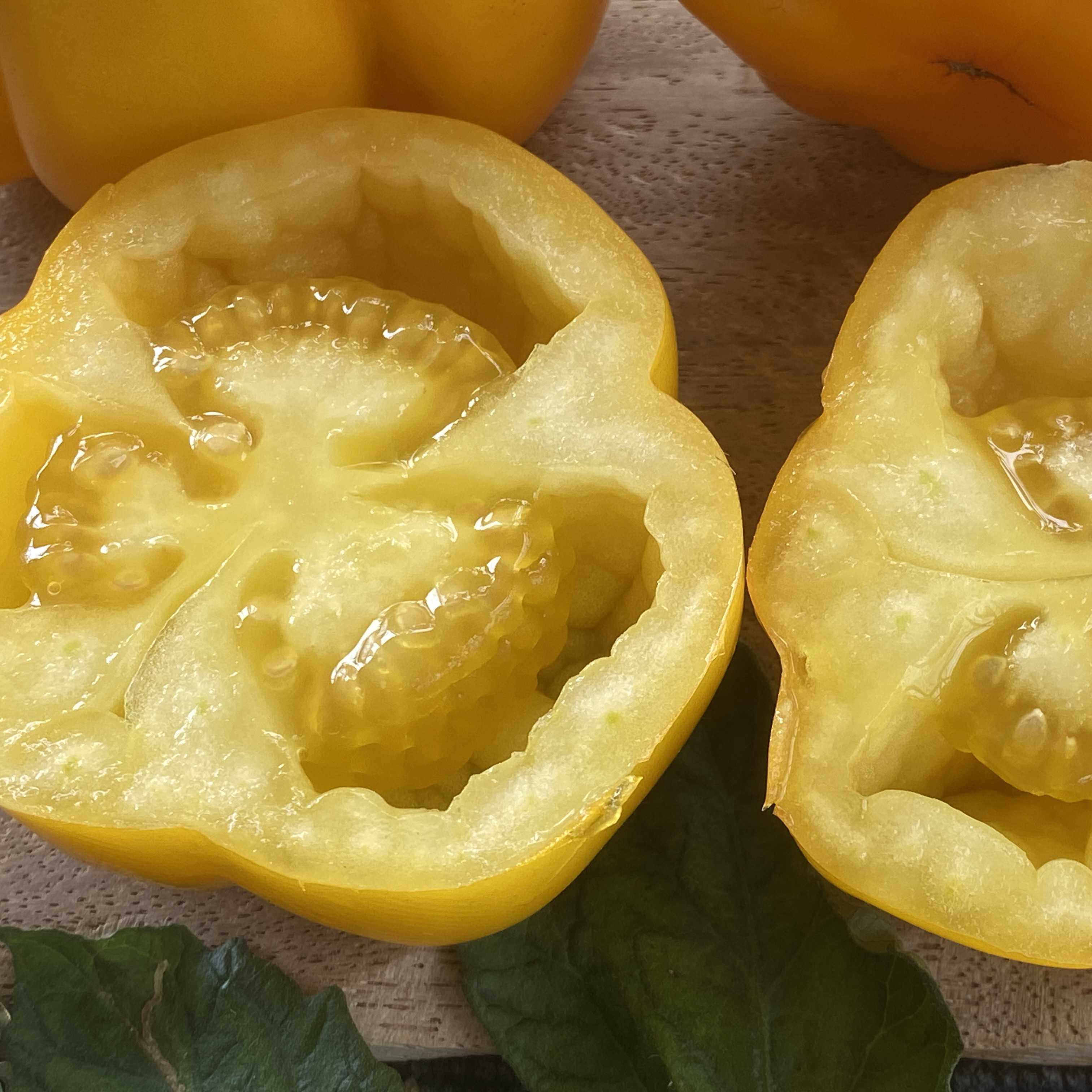 Tomatensaatgut Yellow Stuffer