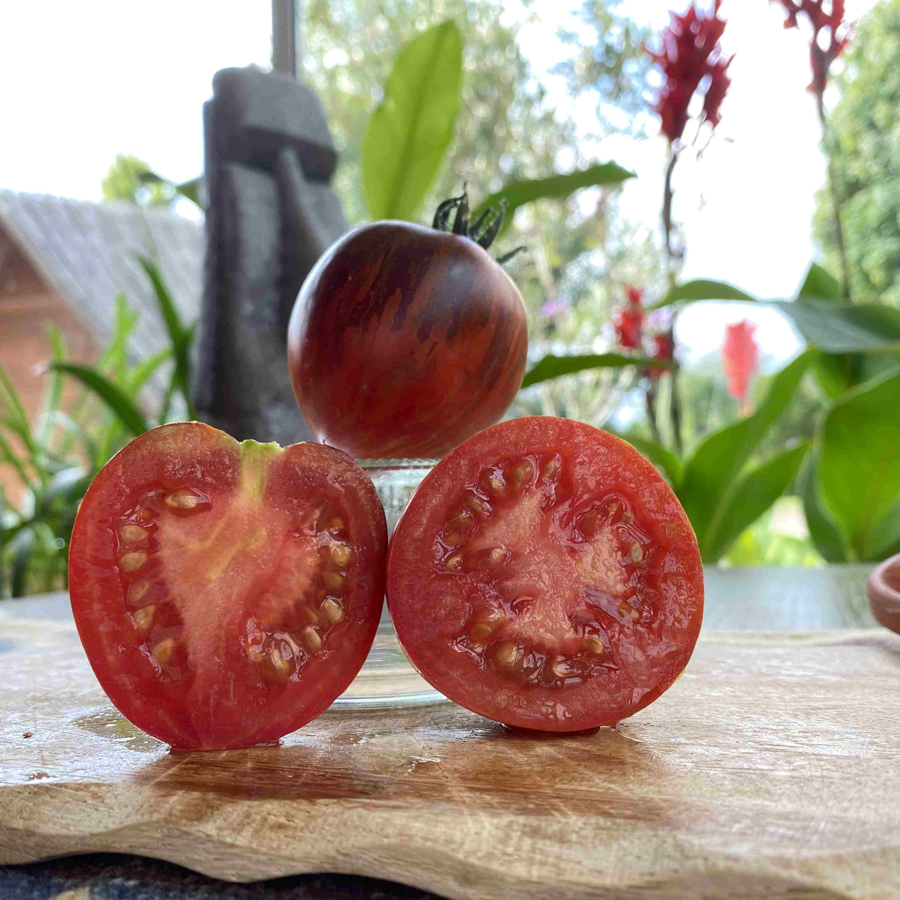 Tomatensaatgut Kaleidoscopic Jewel