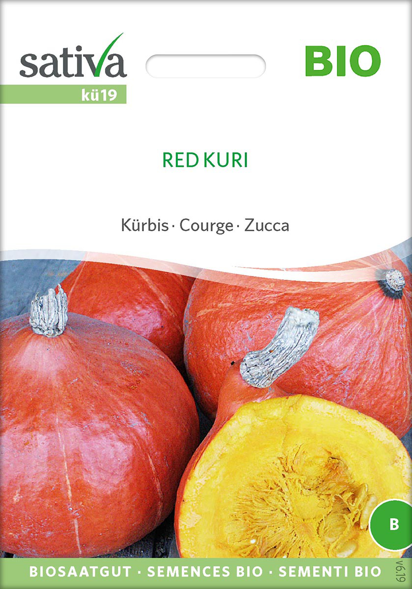 Saatgut Kürbis Red Kuri -S- 