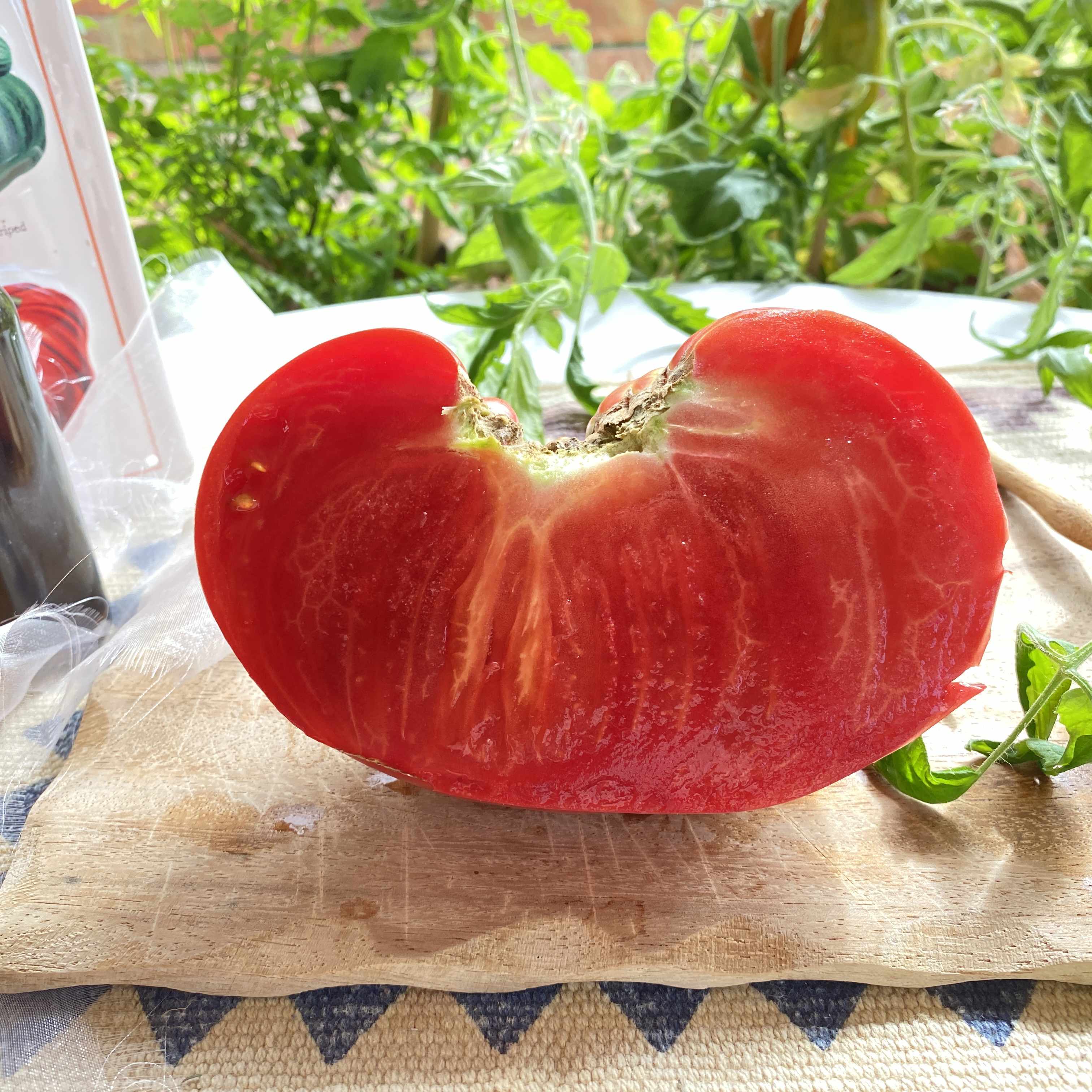 Tomatensaatgut German Pink