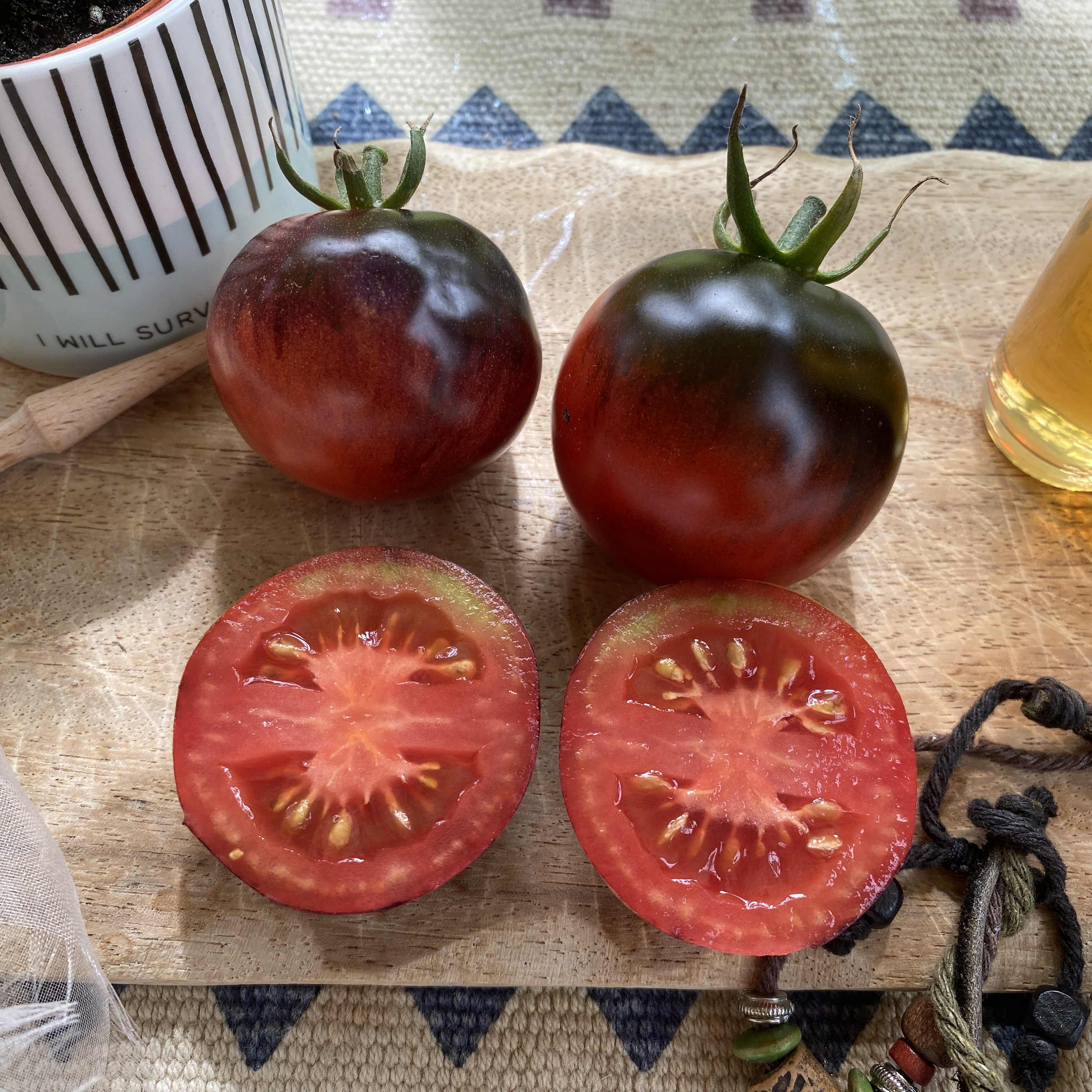 Tomatensaatgut Blue OSU (Indigo Rose)