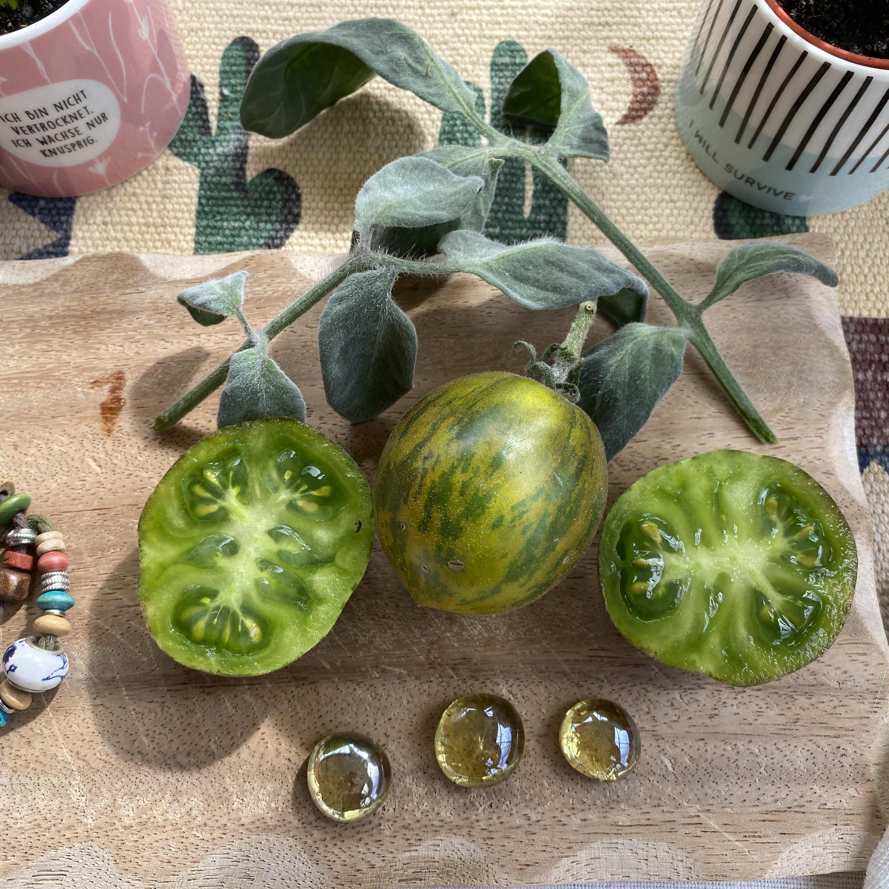 Tomatensaatgut Woolly Green Zebra