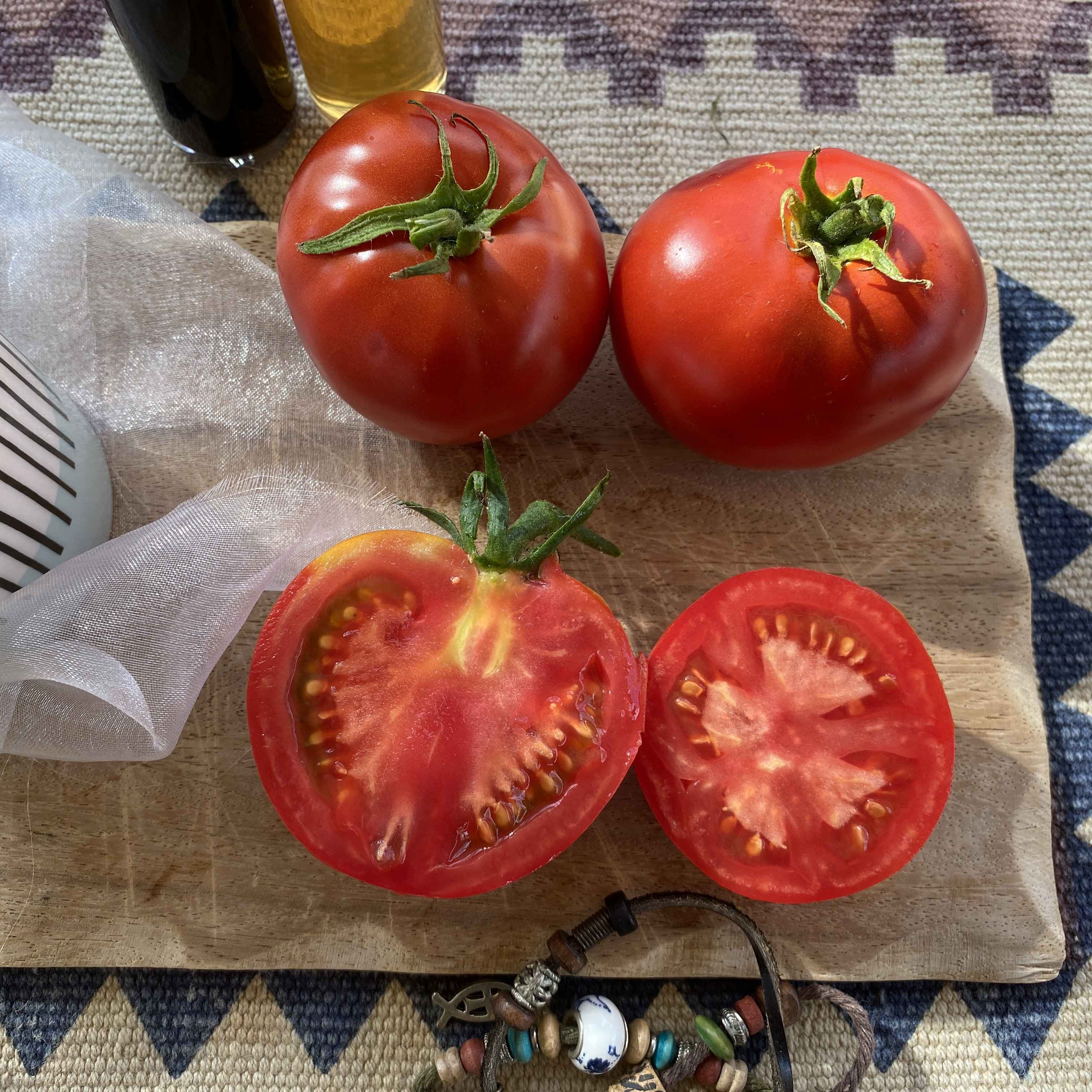 Tomatensaatgut Sub Arctic Plenty
