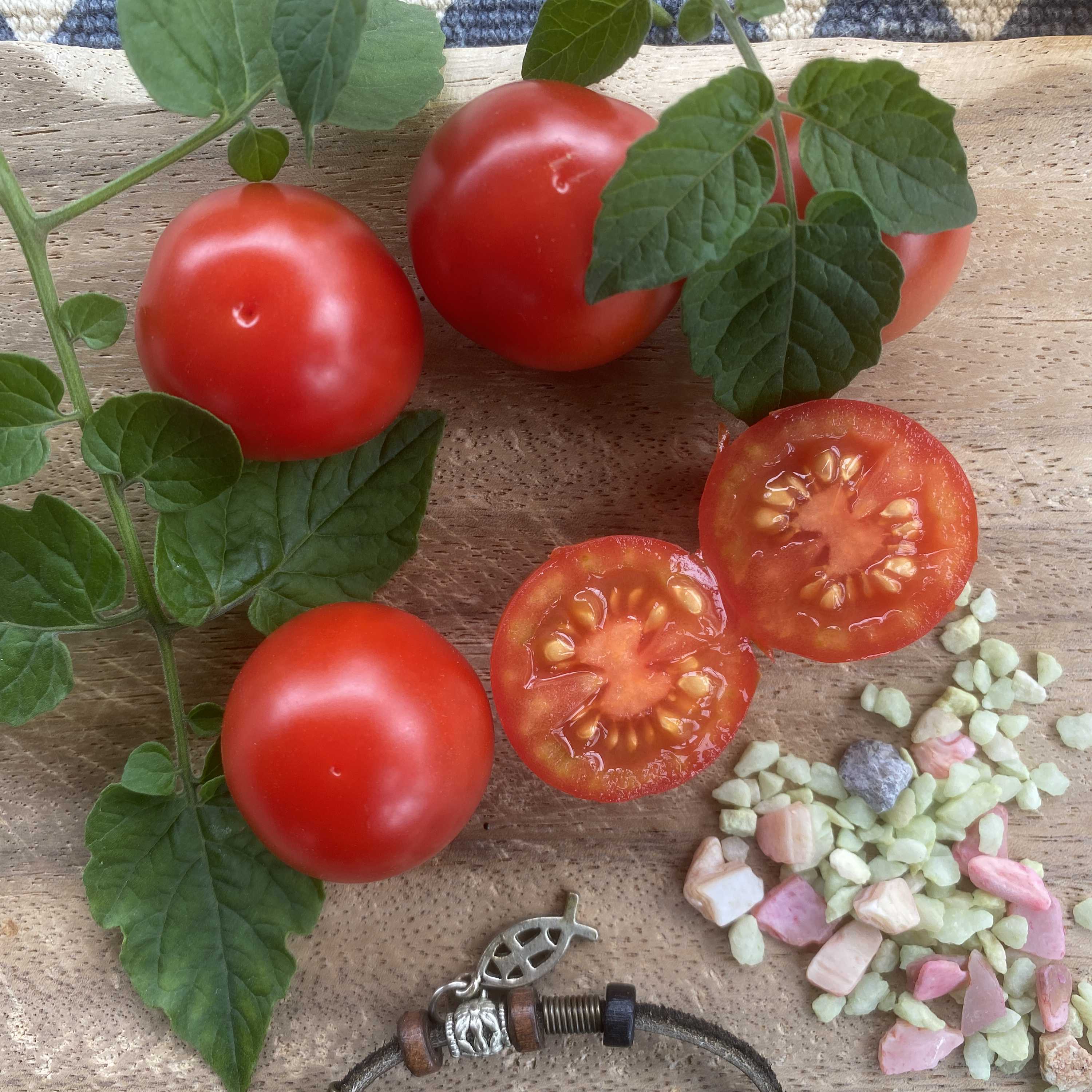 Tomatensaatgut Sweetie