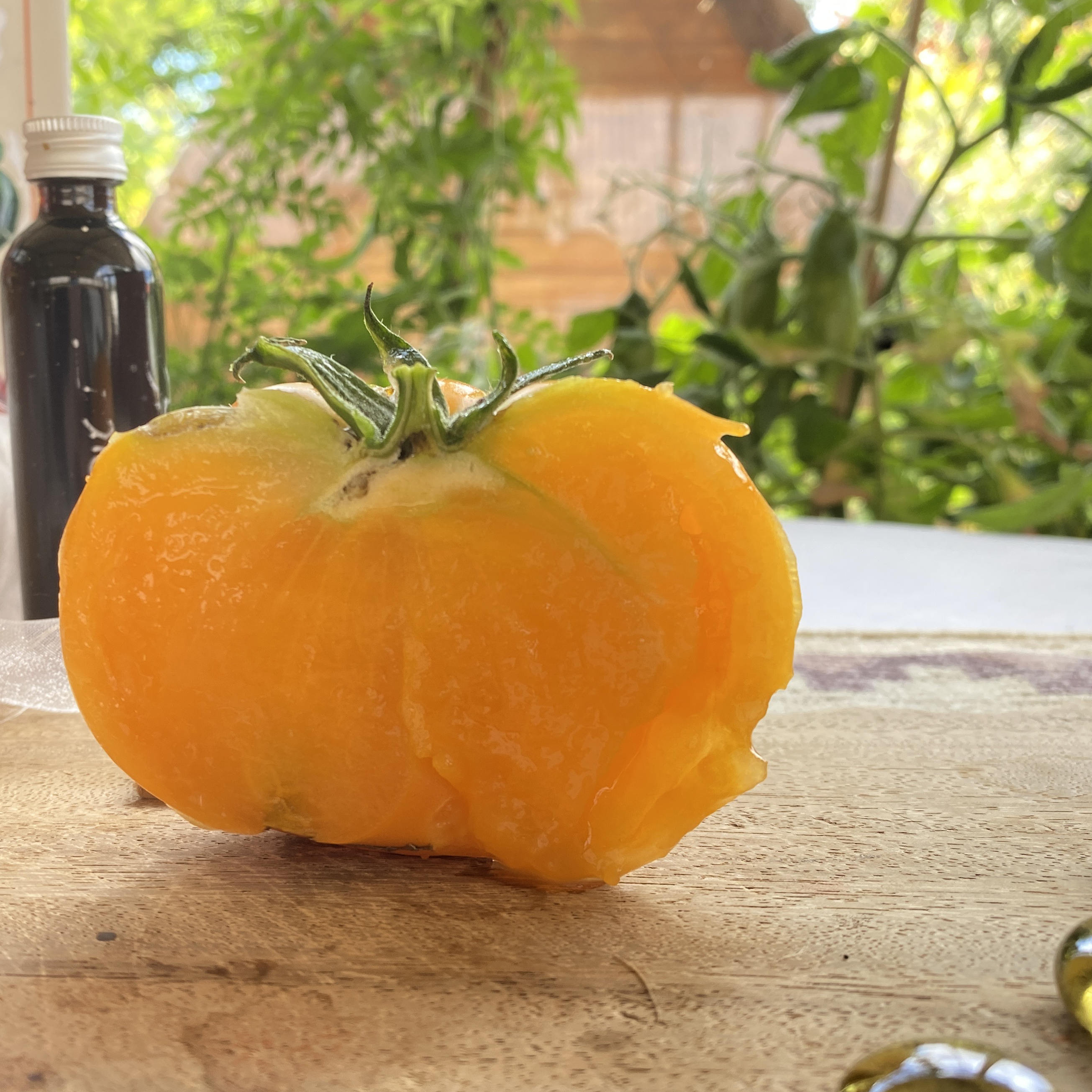 Tomatensaatgut KBX