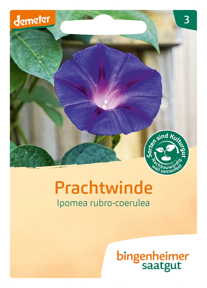 Saatgut Prachtwinde -B-