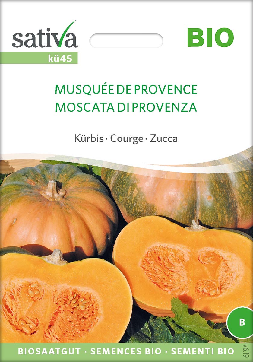 Saatgut Kürbis Muskat de Provence -S-