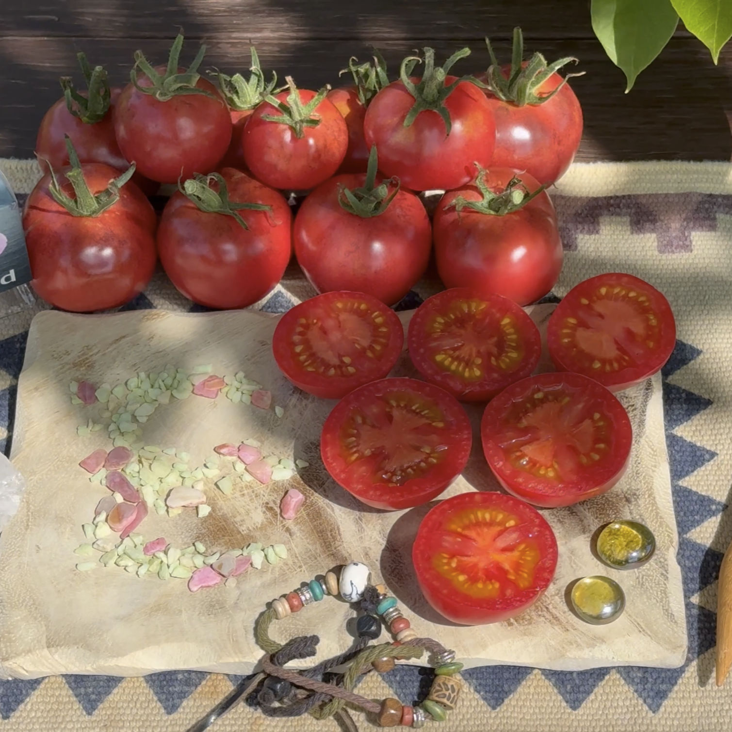Tomatensaatgut E-Pørl Rosa