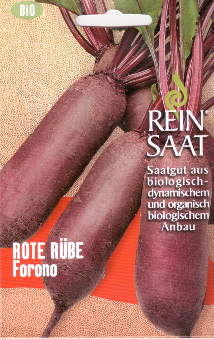 Saatgut Rote Bete lang Forono -R-