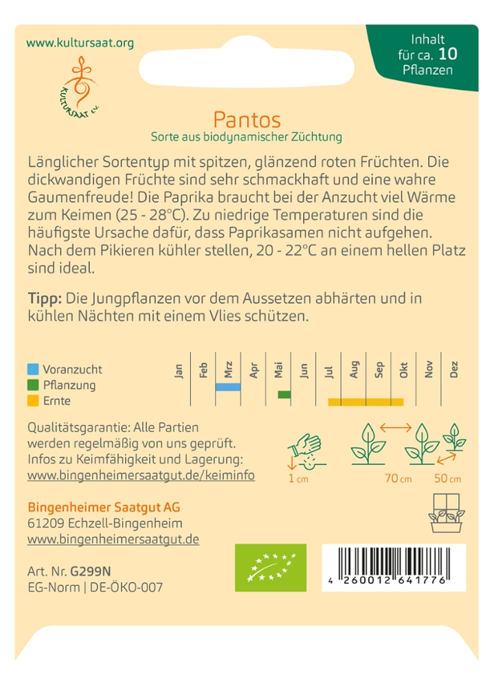 Saatgut Paprika Pantos -B-