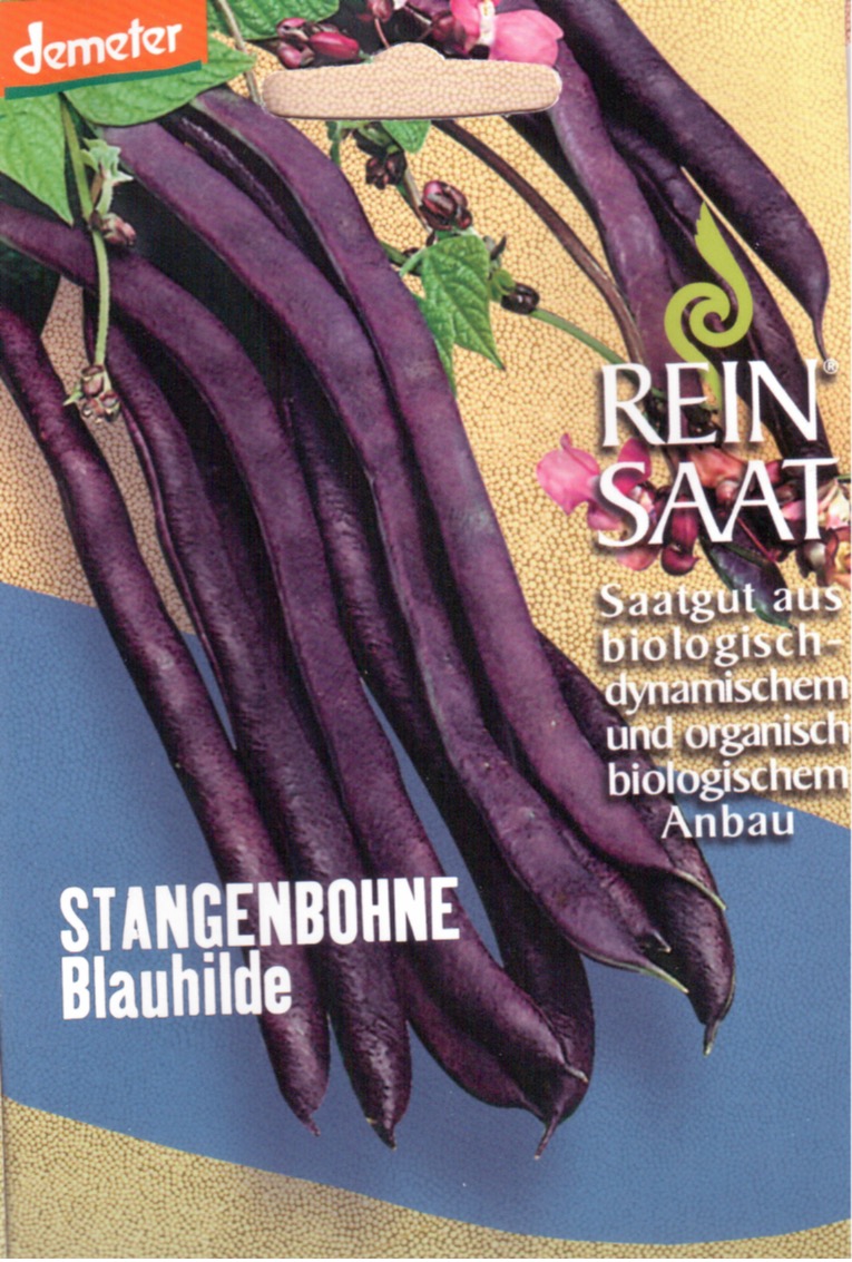 Saatgut Stangenbohne Blauhilde -R-