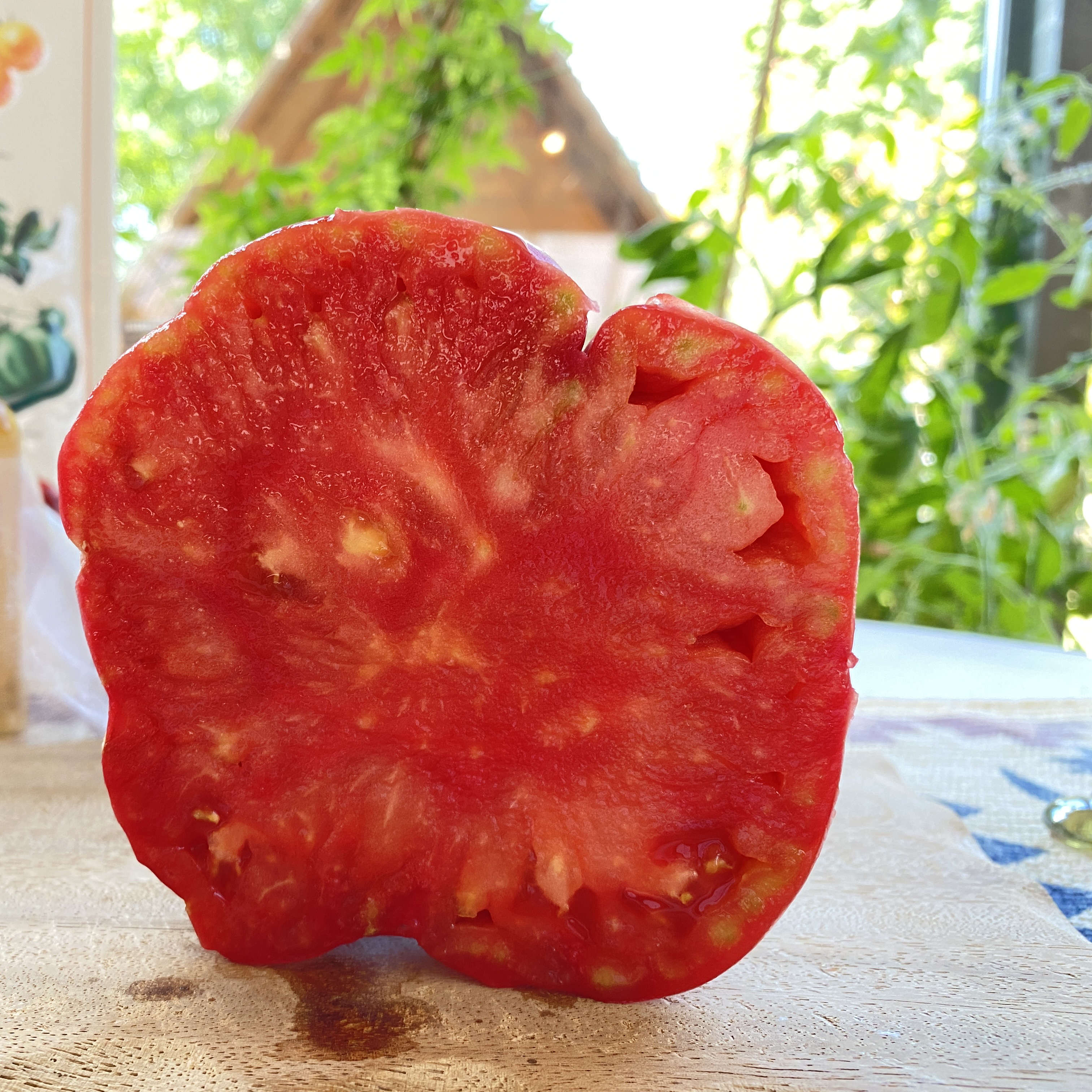 Tomatensaatgut Kasachstan Riese