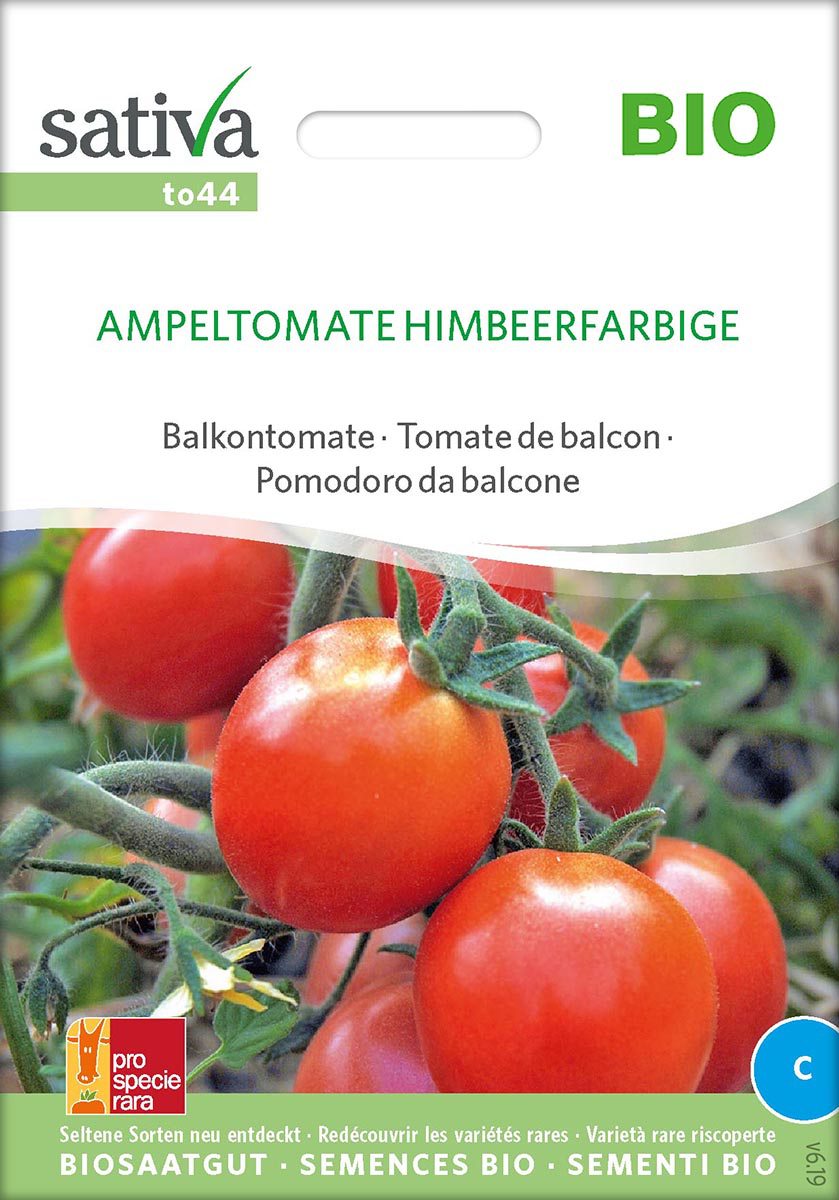 Tomatensaatgut Ampeltomate Himbeerfarbige -S-