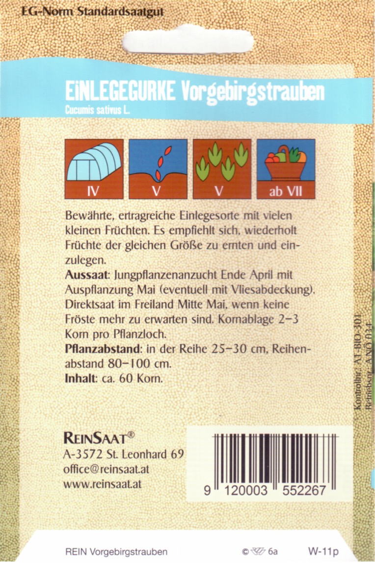 Saatgut Einlegegurke Vorgebirgstrauben -R-