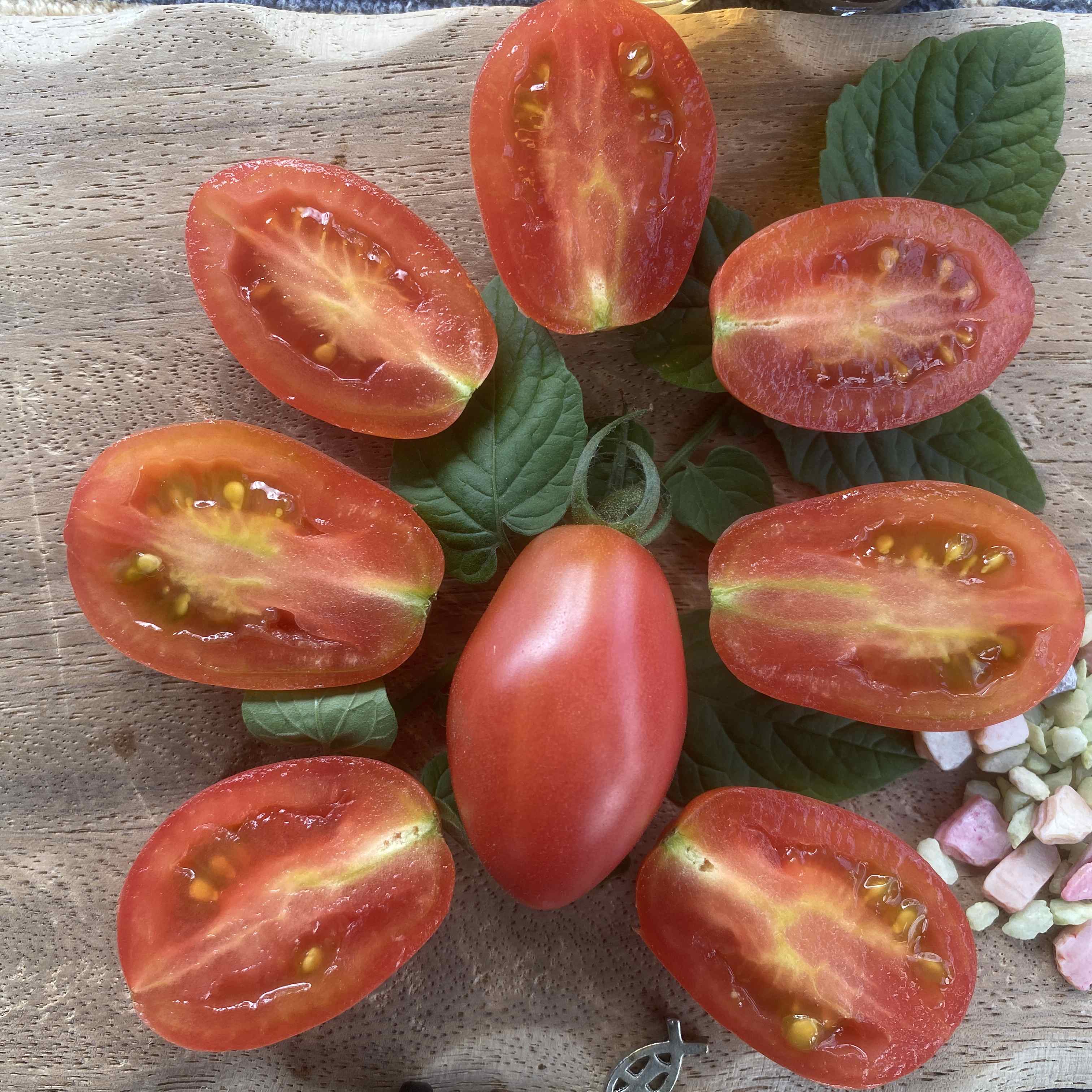 Tomatensaatgut Huayu