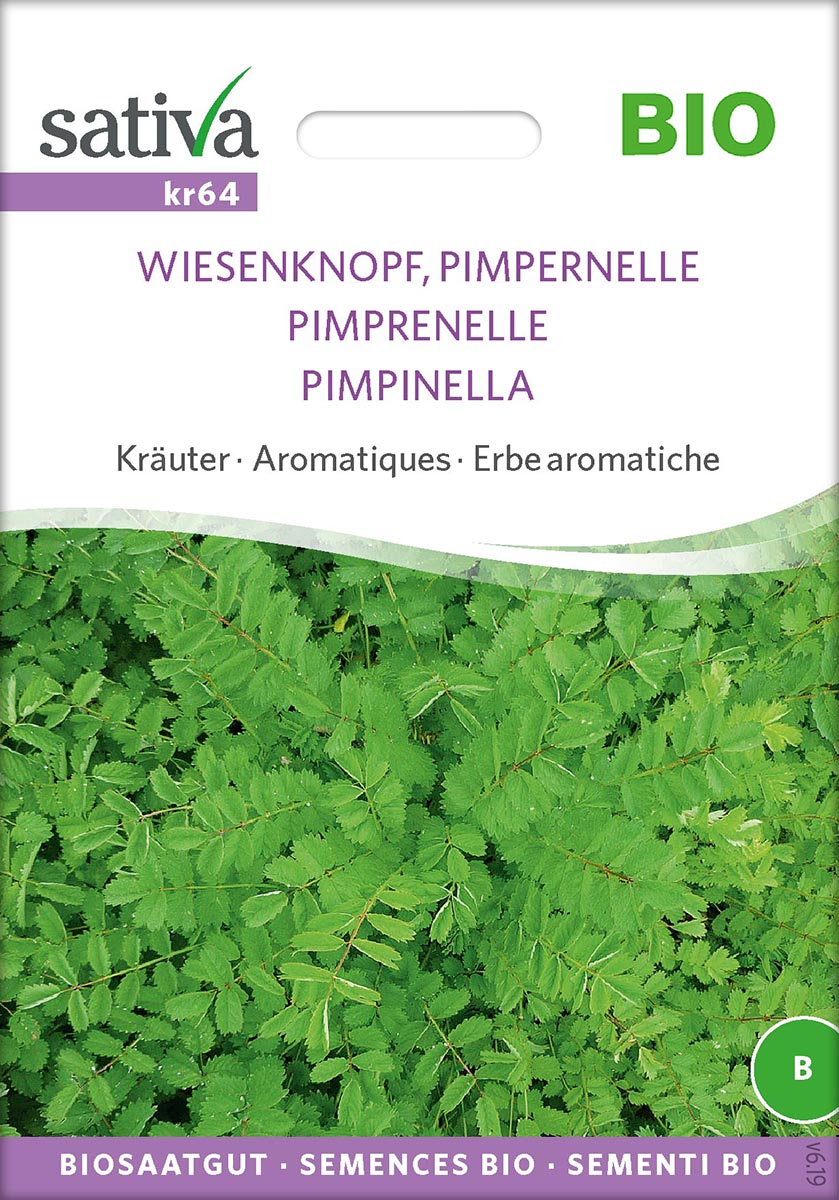 Saatgut Pimpernelle -S-