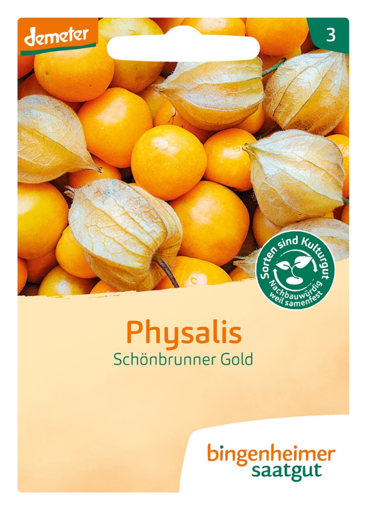 Saatgut Physalis Schönbrunner Gold -B-