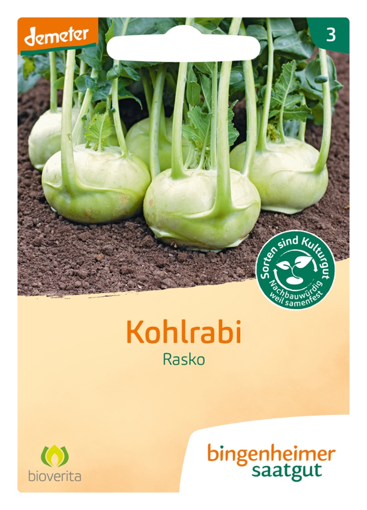 Saatgut Kohlrabi Rasko -B-