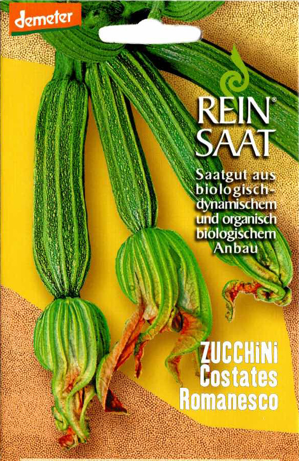 Saatgut Zucchini Costates Romanesco -R-