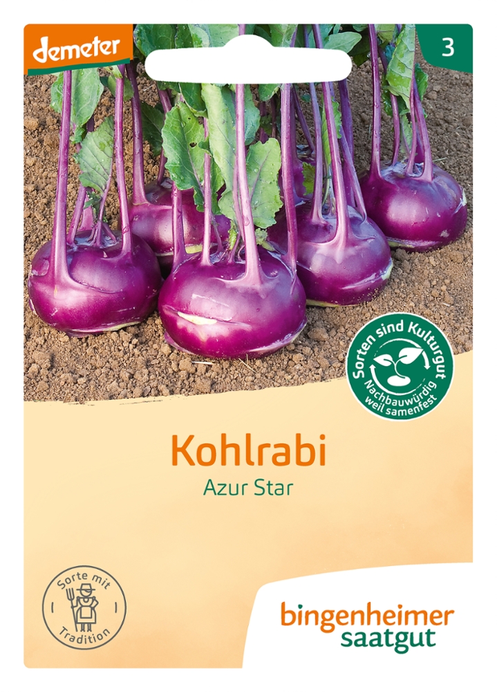 Saatgut Kohlrabi Azur Star -B-